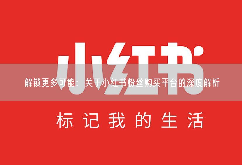 解锁更多可能：关于小红书粉丝购买平台的深度解析